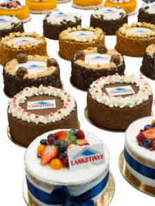 image-removebg-preview