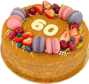 image_2026-01-18_194211761-removebg-preview