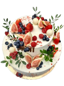 image_2026-01-18_200204679-removebg-preview